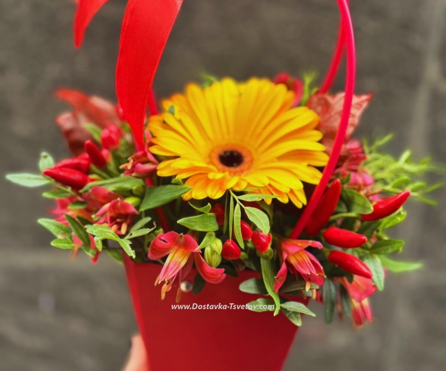 Flowers Flowers in a bag "Paprika"