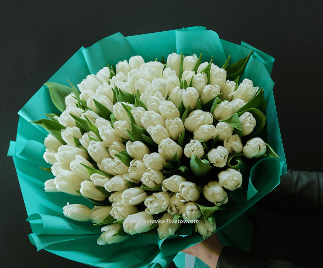 101 tulip 101 white tulips "Saturn"