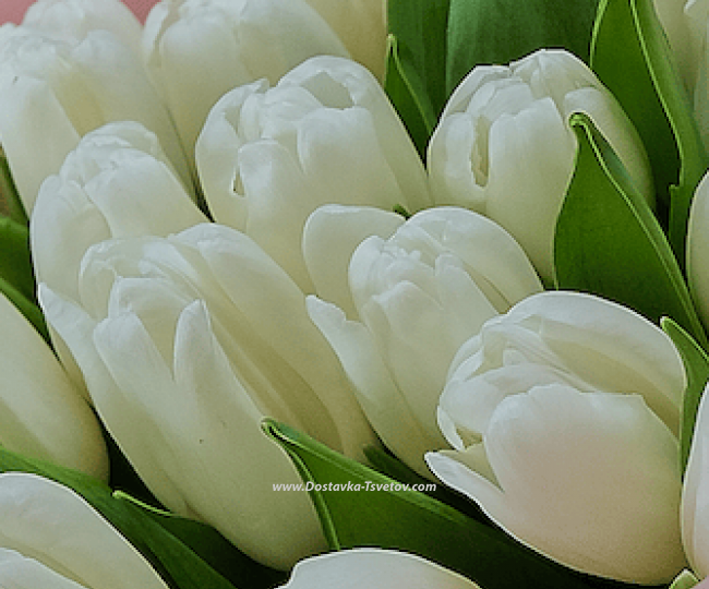 White bouquet "Enchantress" - photo #3