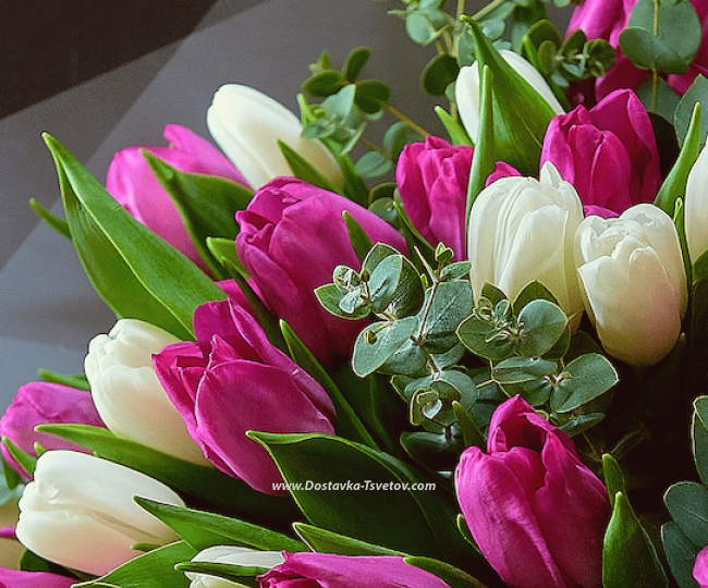 35 tulips in the bouquet "Eternal Rome" - photo #2
