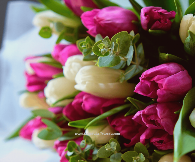 35 tulips in the bouquet "Eternal Rome" - photo #3