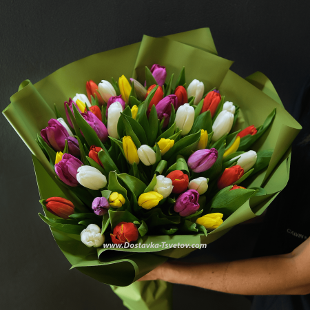 65 multi-colored tulips "Etna"