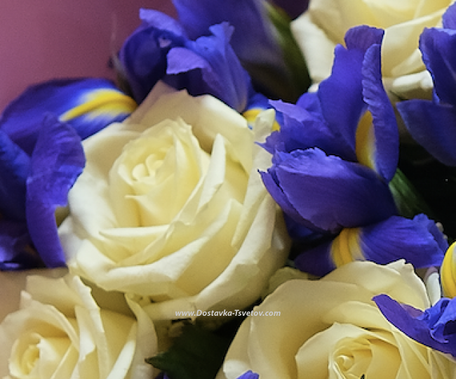 Irises with roses "A play on words" - photo #2