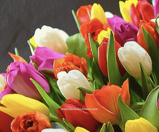 101 multi-colored tulips "La Mare" - photo #2