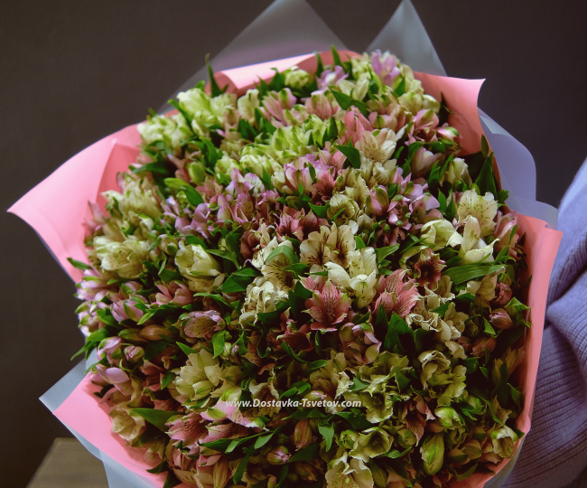 Alstroemeria Mixed bouquet "Empathy"