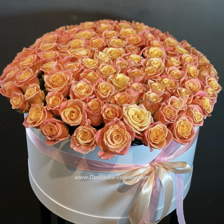 Roses in the box "Siren"