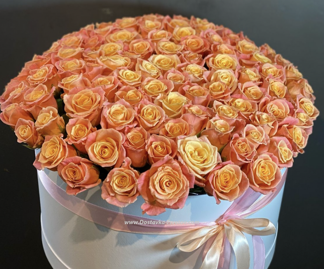 Roses Roses in the box "Siren"