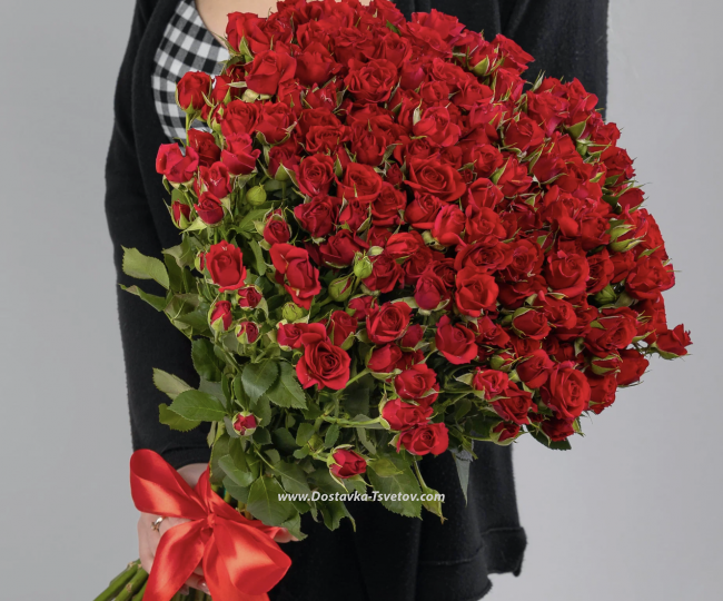 Red roses Bouquet of red bush roses "Kate"