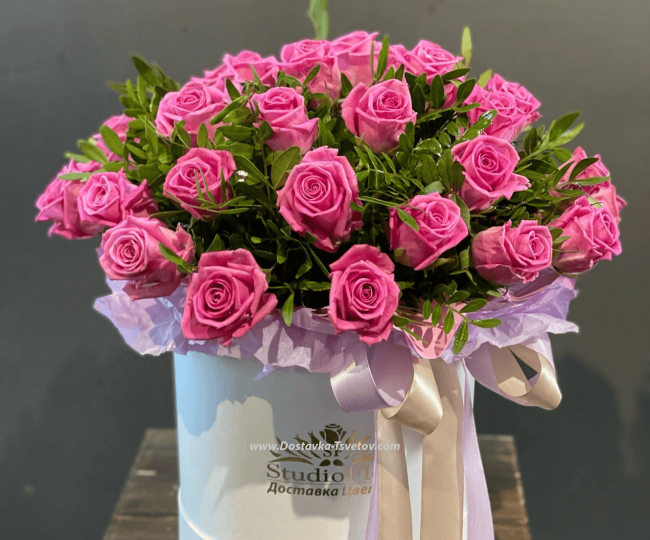 Flowers Beautiful pink roses "Nikol"