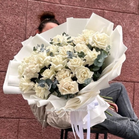 25 peony roses "Melodic Motive"