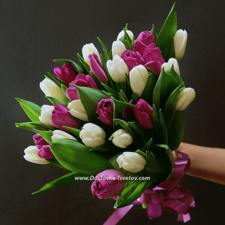 Bouquet of 29 tulips "Philadelphia"