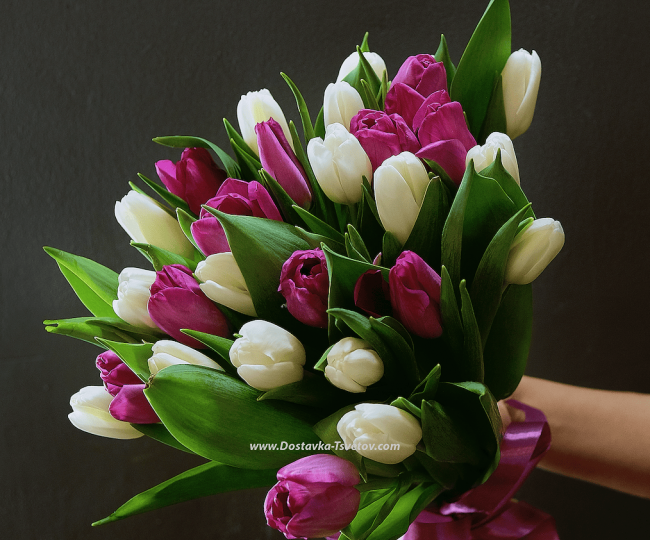 Tulips Bouquet of 29 tulips "Philadelphia"