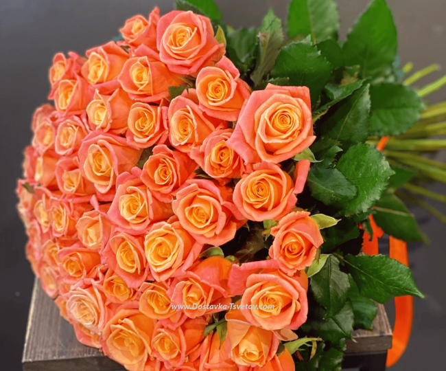 51 Roses Pink bouquet "Ardent Love"