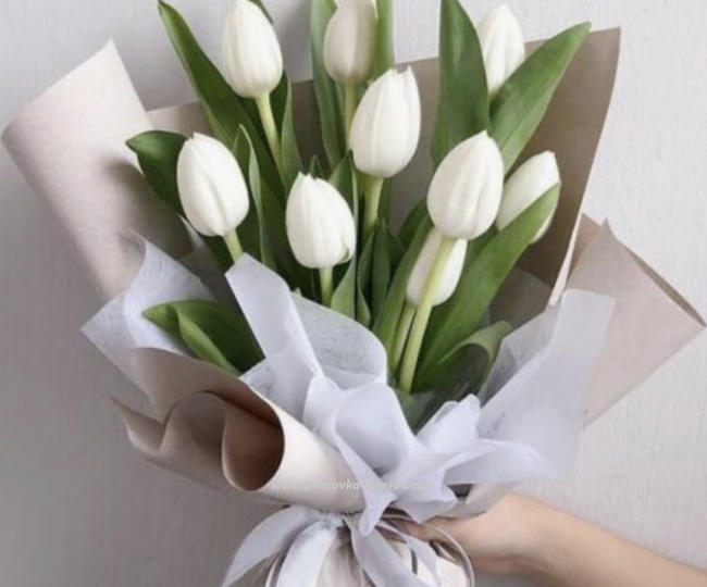 11 tulips																					 white bouquet "Monaco"
