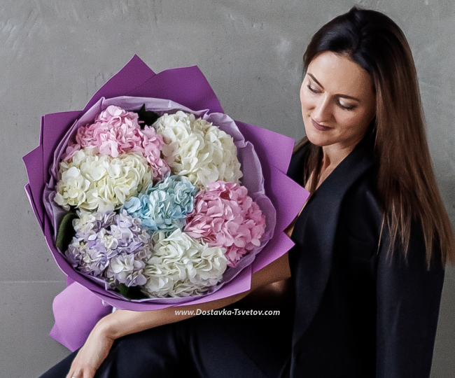 Multicolored hydrangeas "Laska" - photo #3