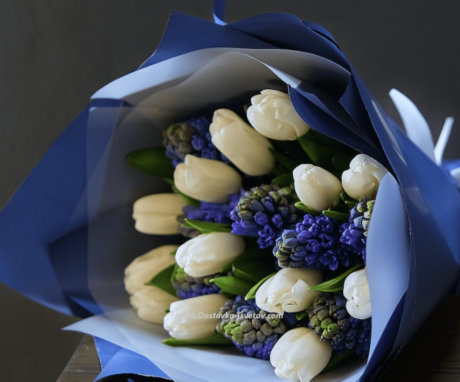 Hyacinths and tulips "Russia" - photo #2