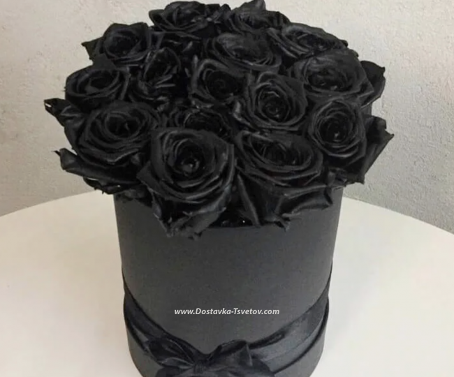 In the box Black Roses "Mysterious Night"