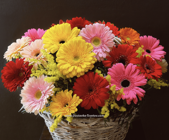 Flowers Gerberas in the "Gift" basket