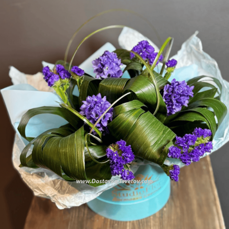 Hyacinths in a box "Sultana"
