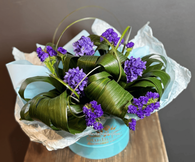 In the box Hyacinths in a box "Sultana"