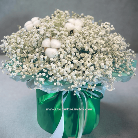 Gypsophila in a box "White Dream"