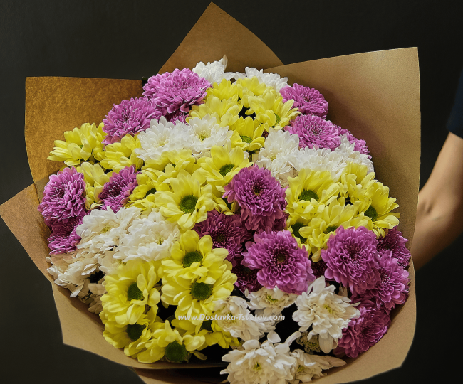 Chrysanthemums Colorful bouquet "Celebration"