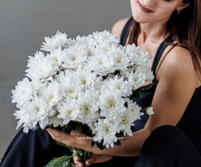 Chrysanthemums White bouquet "Gentle Breath"