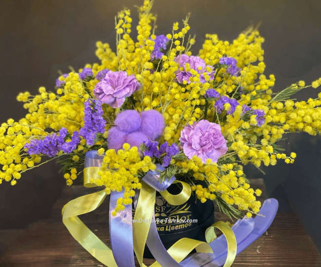 March 8 Composition "Mysterious Mimosa"