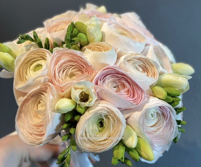 Ranunculus Ranunculus and freesia "Lute"