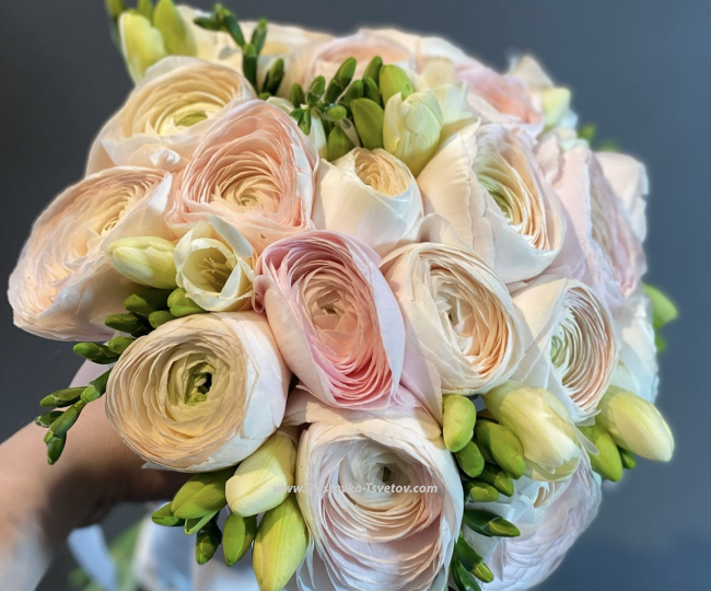Ranunculus and freesia "Lute" - photo #2