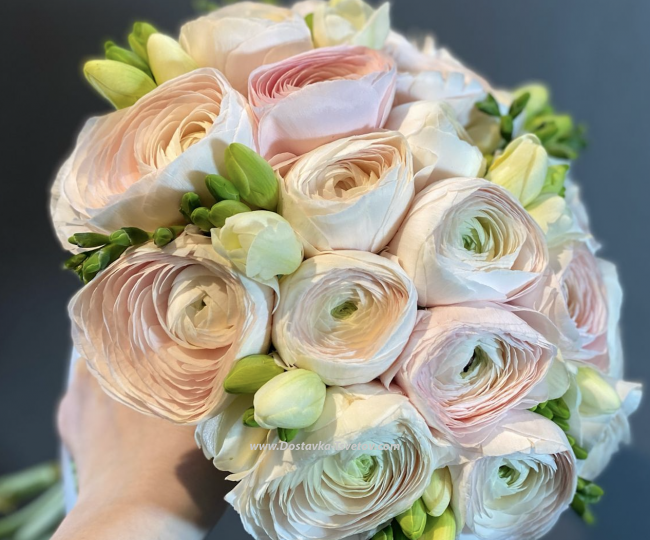 Ranunculus and freesia "Lute" - photo #3