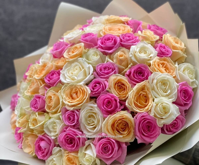 Mix of roses "Sea of Positivity"