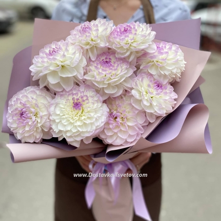 Bouquet of 11 dahlias "Renata"