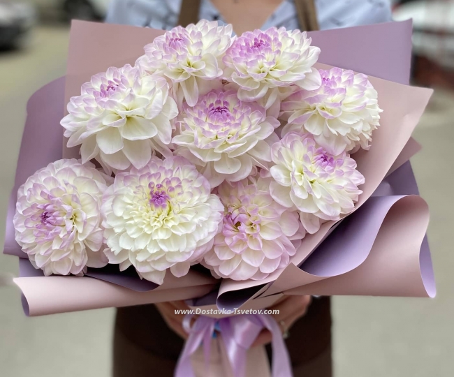 Flowers Bouquet of 11 dahlias "Renata"