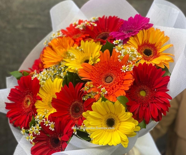 Flowers 15 multi-colored gerberas "Love Horoscope"