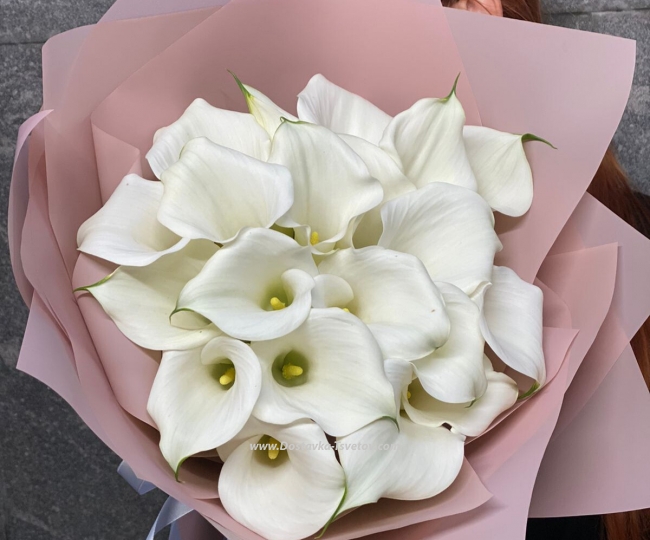 Flowers 21 white calla bouquet "Antonia"