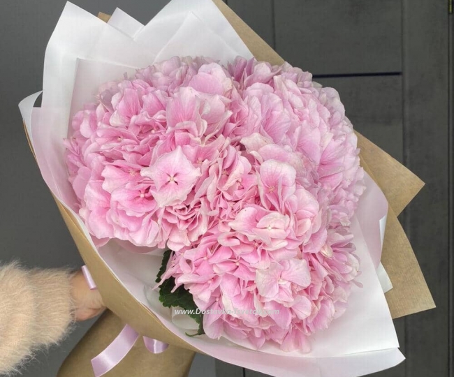 Flowers Bouquet of hydrangeas "Three Tendernesses"