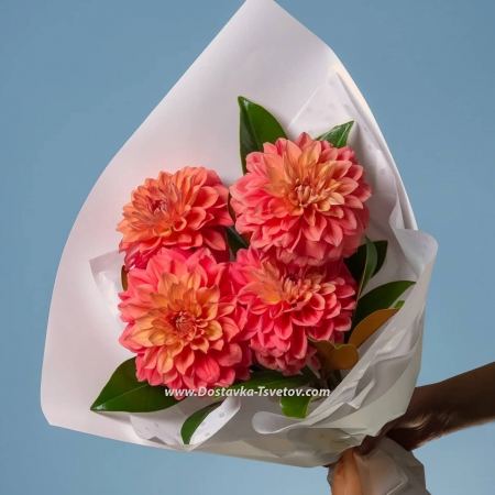 Bouquet of 5 dahlias "Paola"