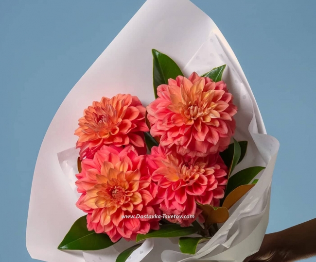 Flowers Bouquet of 5 dahlias "Paola"