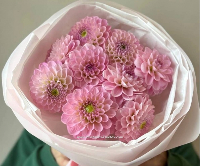 Flowers Bouquet of 9 dahlias "Antonella"