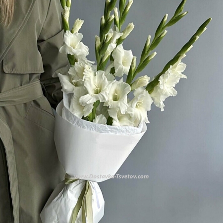 5 white gladioli "White Symphony"
