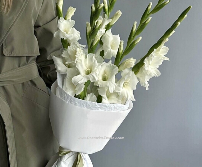 Flowers 5 white gladioli "White Symphony"