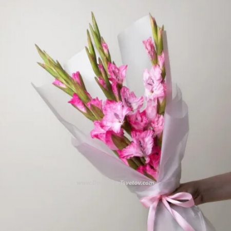 Bouquet of 5 gladioli "Modest charm"
