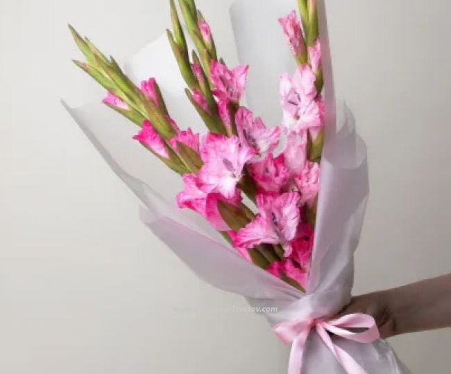 Flowers Bouquet of 5 gladioli "Modest charm"