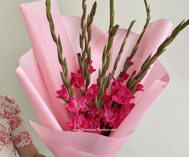 Flowers 7 Gladioli in a bouquet "Pink Accord"