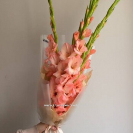 5 gladioli in a bouquet "Tangerine Aroma"