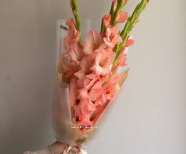 Flowers 5 gladioli in a bouquet "Tangerine Aroma"