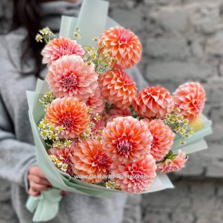 Dahlias and daisies in the bouquet "Assol"