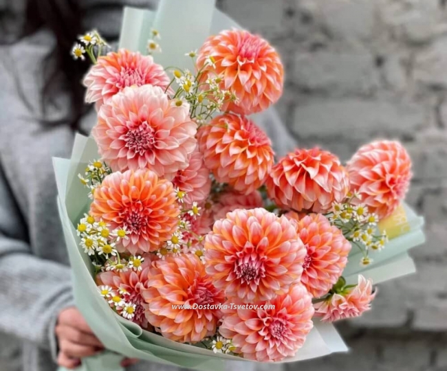 Flowers Dahlias and daisies in the bouquet "Assol"