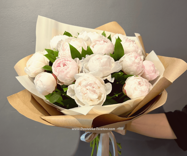 Flowers Pink peonies "Alyonushka"